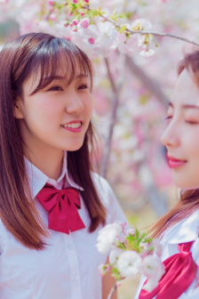 门第33集在线观看